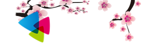 百书楼小说